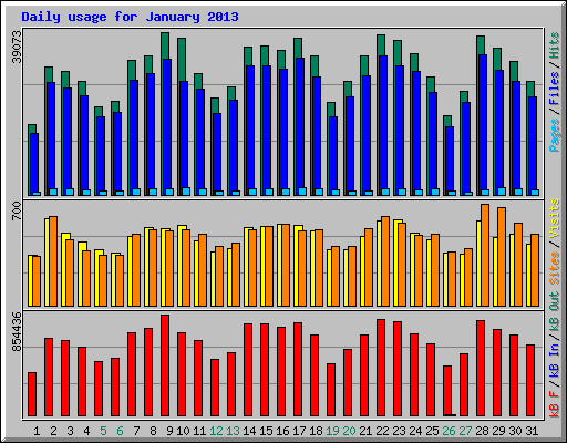 Daily usage for January 2013