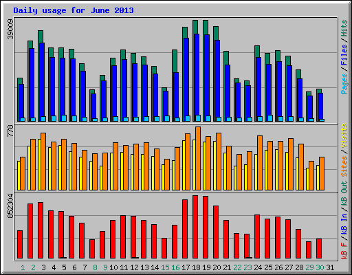 Daily usage for June 2013