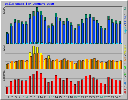 Daily usage for January 2019