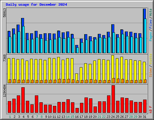 Daily usage for December 2024