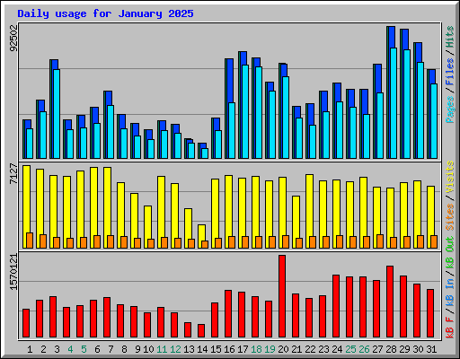 Daily usage for January 2025