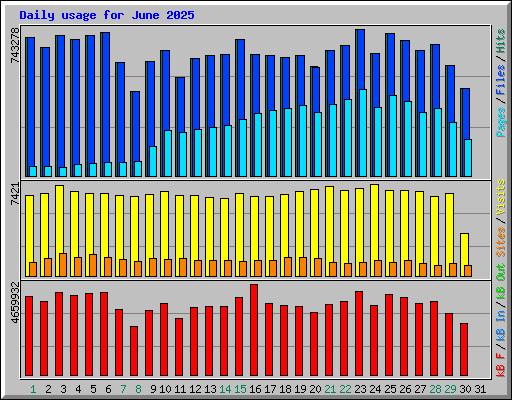 Daily usage for June 2025