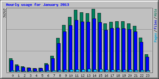 Hourly usage for January 2013