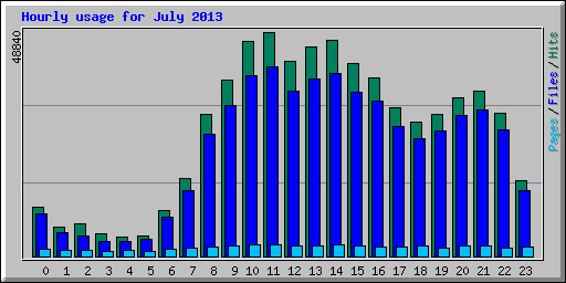 Hourly usage for July 2013