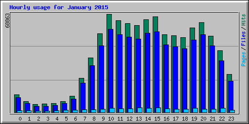 Hourly usage for January 2015