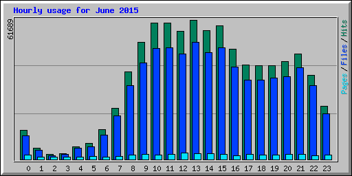 Hourly usage for June 2015