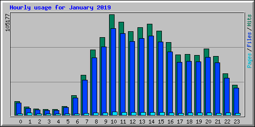 Hourly usage for January 2019