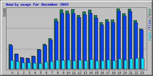 Hourly usage for December 2022