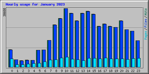 Hourly usage for January 2023