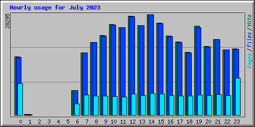 Hourly usage for July 2023