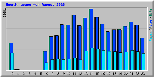 Hourly usage for August 2023