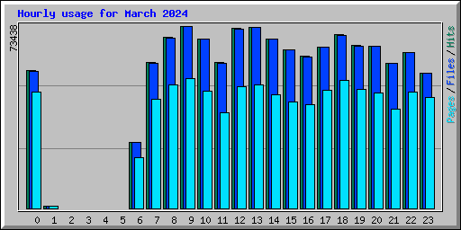 Hourly usage for March 2024
