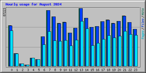 Hourly usage for August 2024
