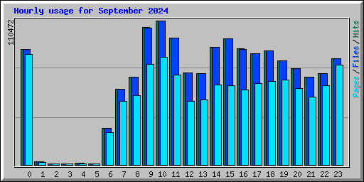 Hourly usage for September 2024