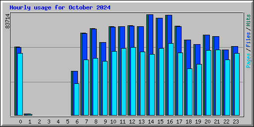 Hourly usage for October 2024