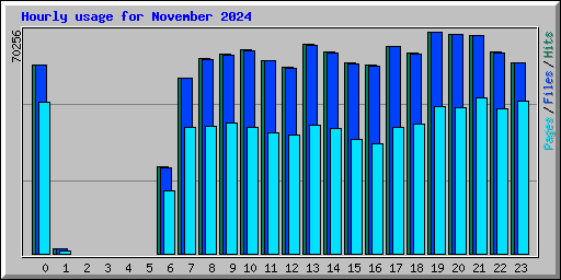Hourly usage for November 2024