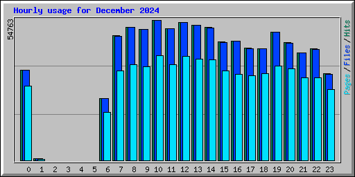 Hourly usage for December 2024