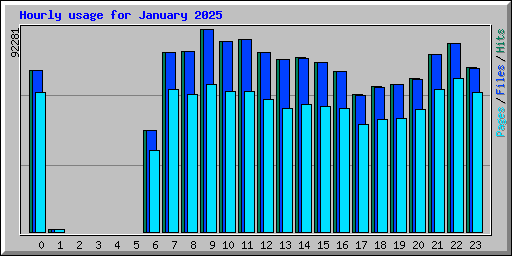 Hourly usage for January 2025