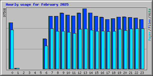 Hourly usage for February 2025