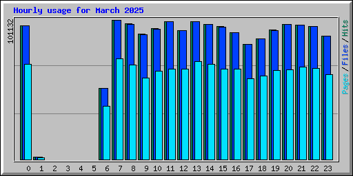Hourly usage for March 2025