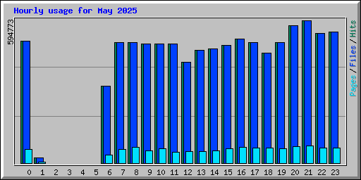 Hourly usage for May 2025