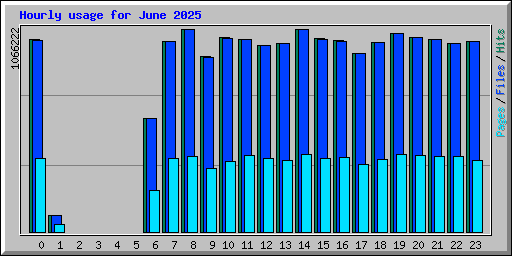 Hourly usage for June 2025