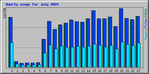 Hourly usage for July 2025