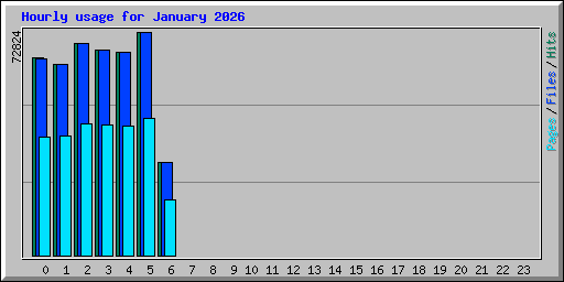 Hourly usage for January 2026