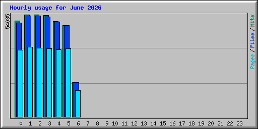 Hourly usage for June 2026