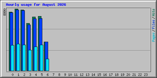 Hourly usage for August 2026